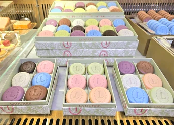 Fusion of Global and Local Flavors